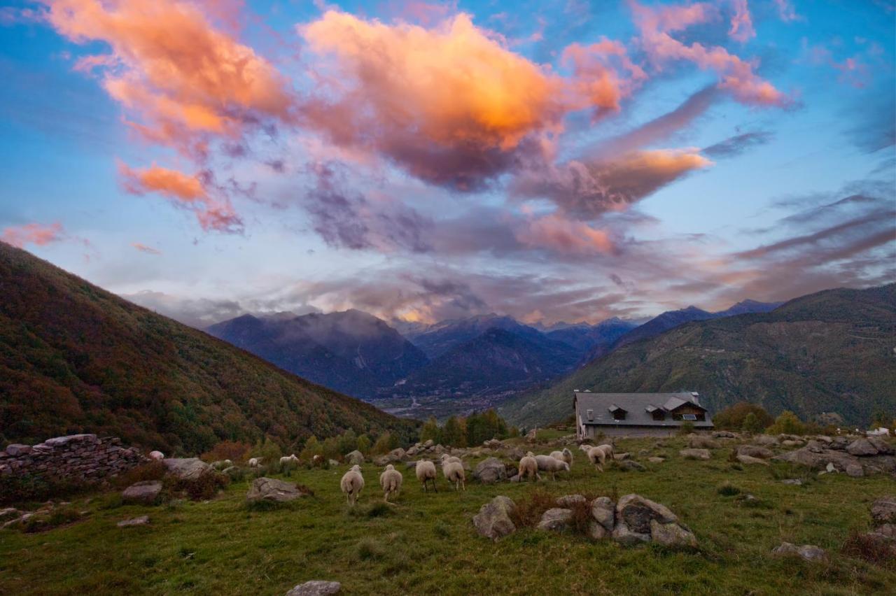 بيت شباب Rifugio Parpinasca Trontano المظهر الخارجي الصورة