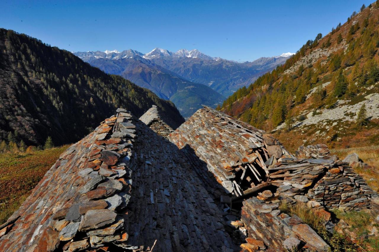 بيت شباب Rifugio Parpinasca Trontano المظهر الخارجي الصورة